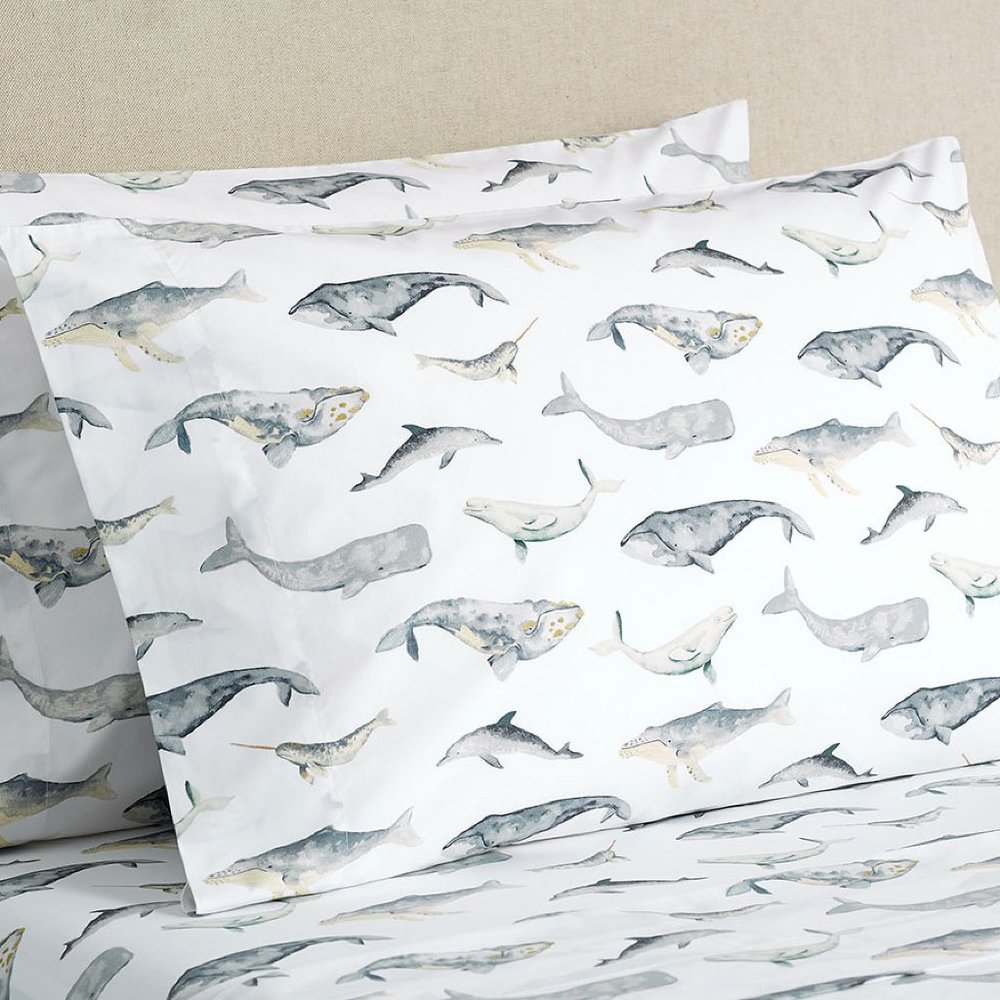 Pottery Barn Organic Sea Pod Queen Sheet Set - 4 piece EUC